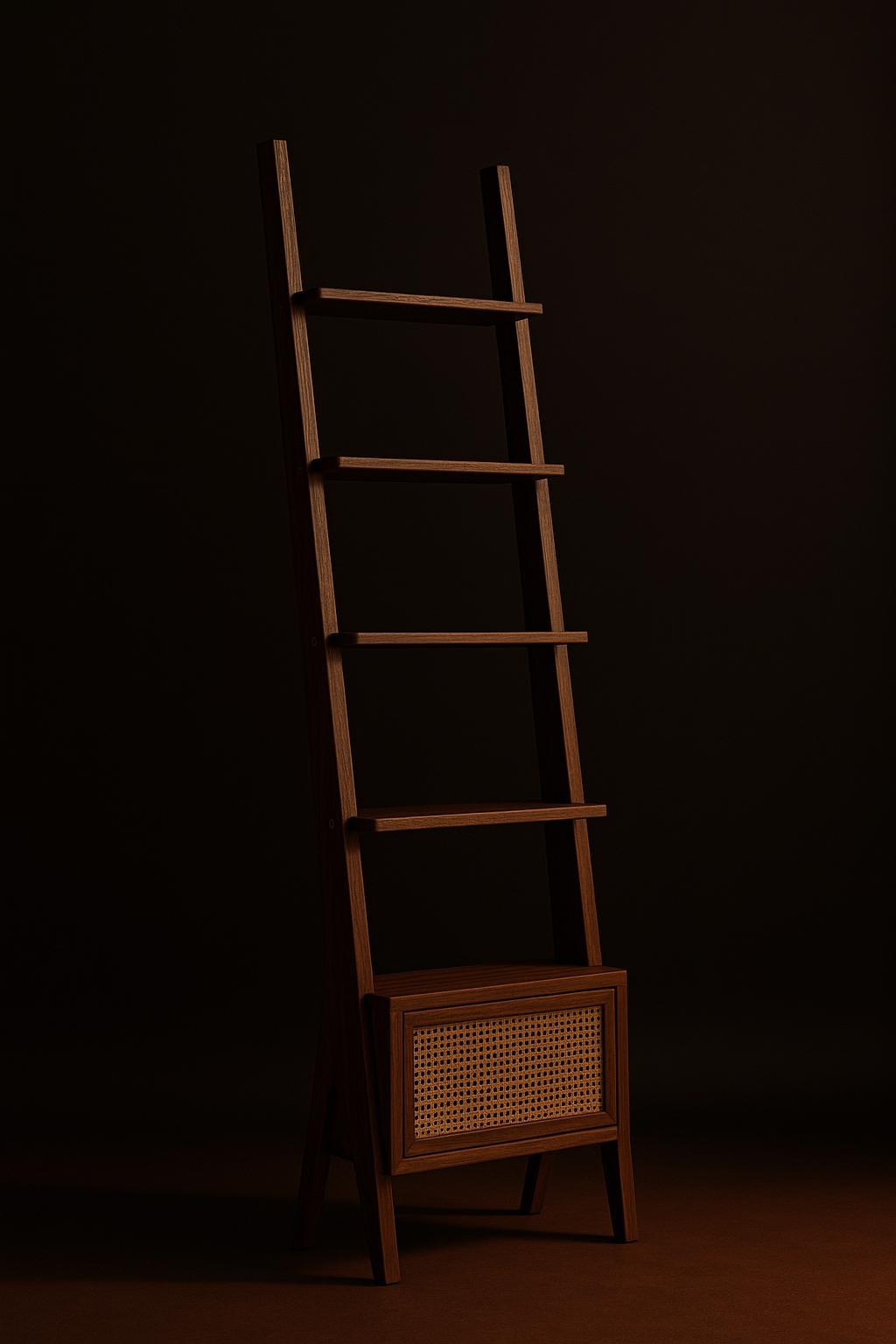 Leaning Book Ladder